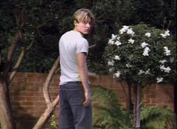 Kevin Zegers Galaxy